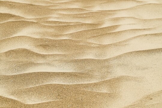 Wind drifts form small waves in sand, abstract pattern, Sorteb&aelig;rdalen Strand, Houvig, North Sea, Denmark