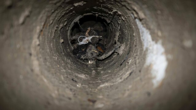 Close up view inside a dirty residential plumbing drain pipe with plumbing