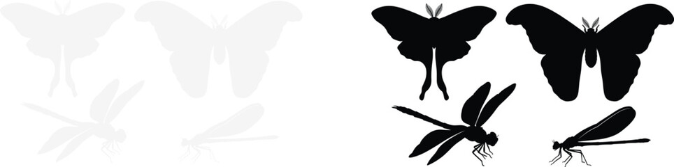 Set of moth and dragonfly silhouettes vector illustration collection for nature and wildlife design © MstAshida