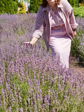 young woman in lavender field