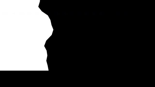 Animated black and white transitions with organic edges, dynamic motion graphic