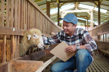Asian Farmer Checking Sheep with clipboard in Barn © Yazid Nasuha