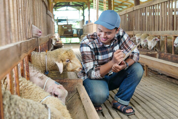 Asian Farmer Inspecting Sheep and Making Check List with clipboard in Barn © Yazid Nasuha
