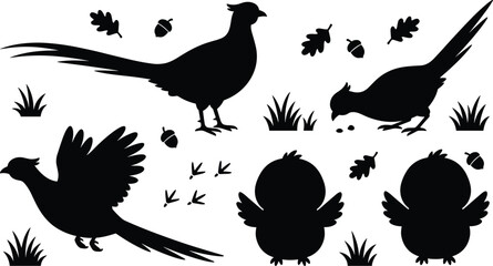 Pheasant Bird Silhouette Vector Element Set featuring Wild Gamebirds with Forest Oak Leaves, Acorns, Grass, and Footprints for Hunting Theme Graphic Designs © Yousuf