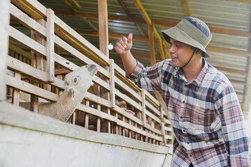 Asian Farmer Petting Sheep in Pen © Yazid Nasuha