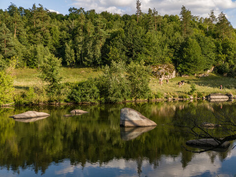 Tranquil River Landscape with Granite Rocks and Green Forest Shore