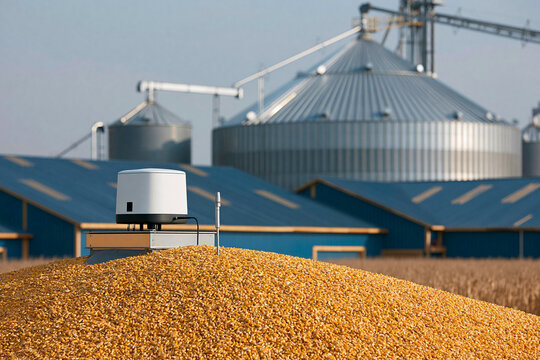 Farm storage facility with corn pile and silos in the background during daytime
