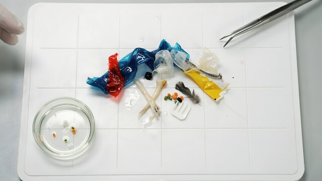 Used chewing gum sticks and wrappers with a pair of tweezers on a sterile surface