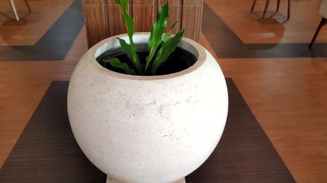 beautiful white terrazzo flower pot