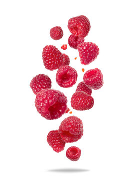 Ripe raspberries falling in the air isolated on a white background