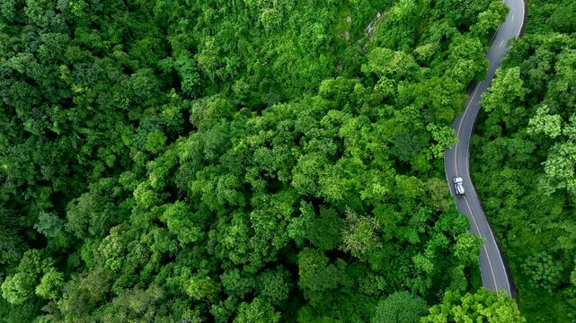Natural forest corridor with modern transportation access, representing Climate Strategy, Net Zero Transition, Carbon Credit Market, Renewable Energy support, Sustainable Mobility, ESG governance, and