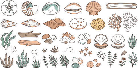 Sea Shells Coral Reefs Aquatic Marine Plants and Ocean Treasures Vector Set © MSTNUSRATJAHAN