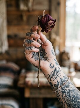 detailed Macro photo of tattooed hand holding wilted rose showing abstract micro structural details and textures with professional studio lighting