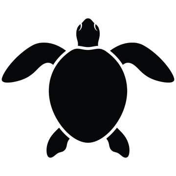 Black silhouette of a sea turtle on a transparent background