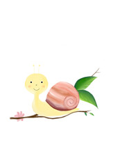 snail on a green leaf
snail with white background ,cute snail drawing ,snail illustration
