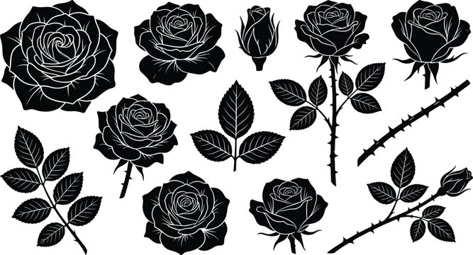 Black rose silhouette vector set with blooming flowers buds leaves stems and thorns for tattoo stencil or elegant design
