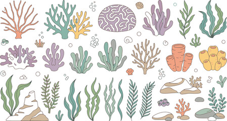 Coral Reefs Seaweed Marine Flora and Underwater Ecosystem Hand Drawn Vector Set © MSTNUSRATJAHAN