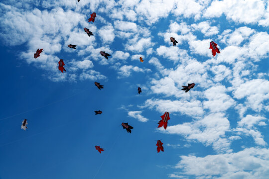 Traditional Balinese bebean or fish kite flying high in the bright blue sky with white clouds during a kite festival.