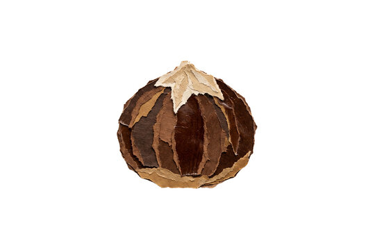 Ripped Paper Collage Chestnut Transparent Image