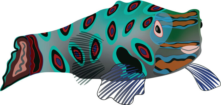 Bright green and blue mandarin fish illustration