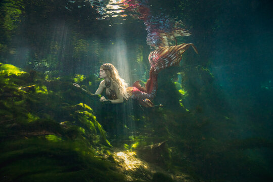 Side view of a beautiful mid adult woman with a mermaid tail swimming along the ocean floor