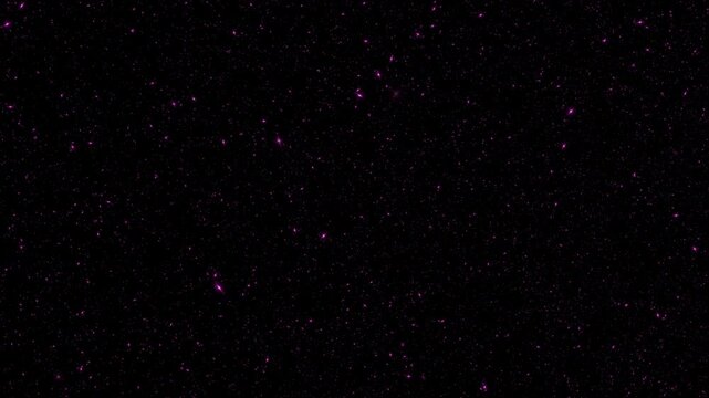 Loop pink stars particles flow on black animation abstract background. Animation of fiery pink glowing flying ember burning ash particles.
