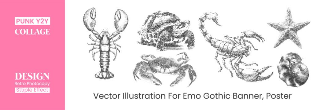 Set of hand drawn marine animals and insects in stipple effect style lobster, crab, scorpion, starfish and seashell vector illustrations for emo gothic design