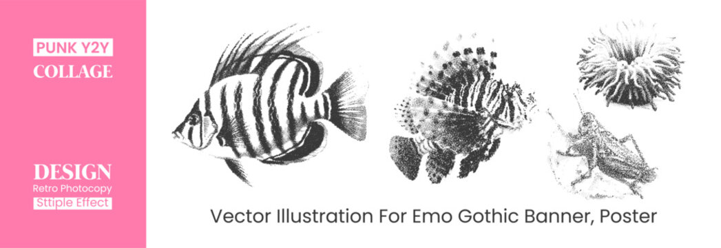 Set of handdrawn stipple illustrations of exotic fish and sea creatures, vintage engraving style vector graphics for emo gothic poster and banner design
