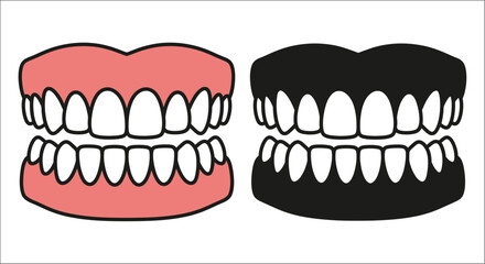 Human teeth illustration with color and black and white versions against a white background anatomy © vectors home