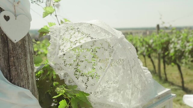 Wedding decorations at a vineyard. A decorative parasol among the rows of grapevines and decorations