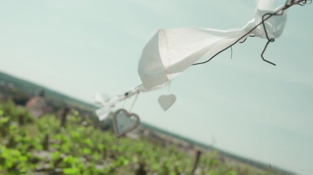 Wedding decorations at a vineyard. Hearts and ribbons attached to grapevines, fluttering in the breeze