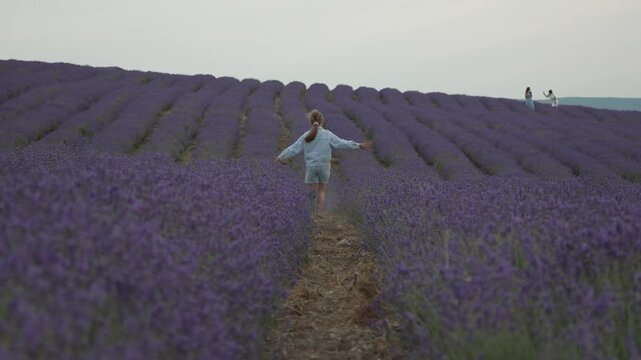 Child running lavender field, young girl enjoying freedom among purple flower rows under clear sky. Tracking shot.
