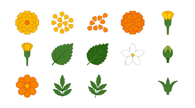 Set of Marigold Flower Icons and Botanical Elements for Floral Design.