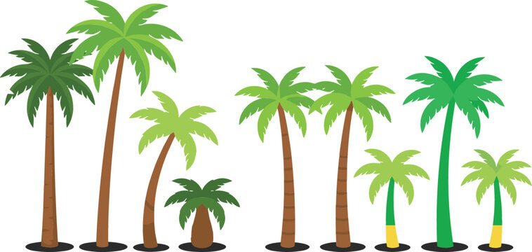Tropical Palm Tree Icon Set Vector Illustration with Various Coconut Palms and Exotic Foliage Styles for Summer Beach Vacation and Travel Design Concepts
