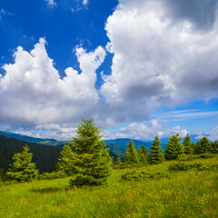 green mountain valley with fir tree forest under blue cloudy sky © Yuriy Kulik