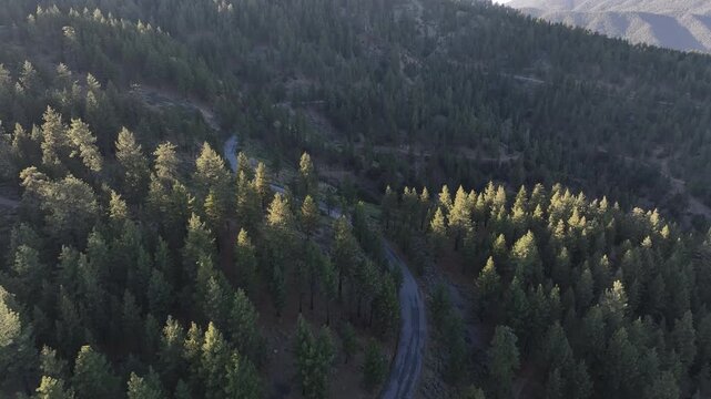 Mt Pinos Sunset Aerial Shot of Highway in Forest Back Los Padres Forest California USA