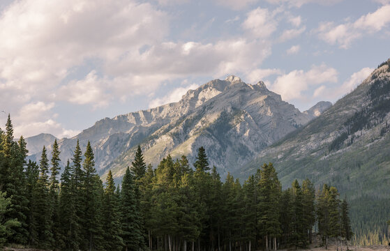 Rugged mountain rises above evergreen forest in Banff, Alberta