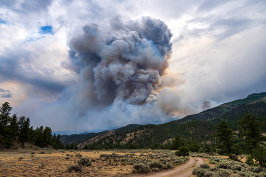 Huge smoke plume from a  Colorado forest wildfire