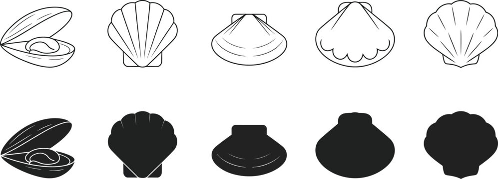 Seashell Icon Set featuring scallop, oyster, clam, marine shell symbols, beach nature elements, and editable line art and solid silhouette vector styles.
