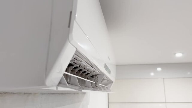 Mold And Dirt Inside Wall Mounted Air Conditioner
