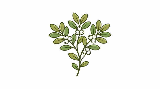 Hand drawn botanical illustration of a snowberry plant.
Snowberry plant illustration. Botanical drawing of Symphoricarpos with white berries.