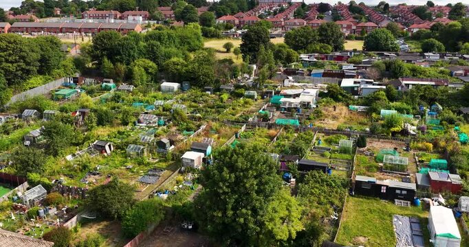 Aerial view of allotment gardens in Benwell Newcastle upon Tyne showing vegetable plots greenhouses sheds and surrounding residential housing with urban community growing spaces in the summer season