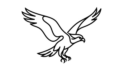 Fototapeta premium Diving eagle attacking with talons extended sketch