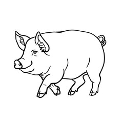 Obraz premium Vector illustration of a walking pig or swine in black outline line art style. Clean farm animal graphic design element, isolated on a white background.