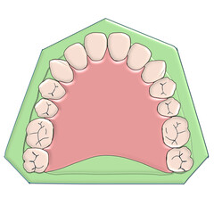Complete Palate Major Connector Illustration © Bhuvana