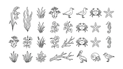 Oceanic marine life and aquatic plant vector icon set, 40 hand-drawn sea creatures and underwater flora, black and white line art for nature-themed designs, beach, and coastal projects. © Jamie