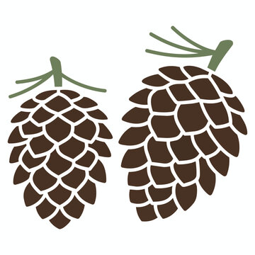 Pair of Pine Cones Vecor Illustration