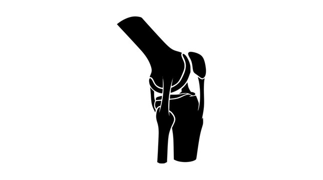 Human knee joint anatomy silhouette icon on white background