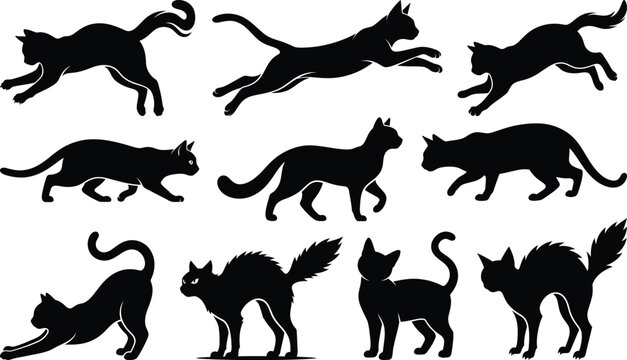 A collection of black cat silhouettes in various poses including running walking stretching and arching their backs isolated on white background
