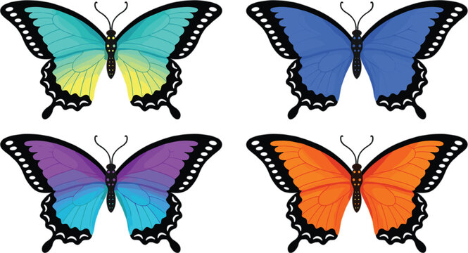 Colorful butterfly collection, vibrant tropical insect wings with detailed patterns for nature wildlife vector illustration design set